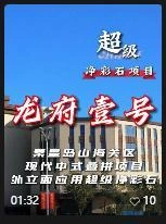 龙府壹号项目内容封面